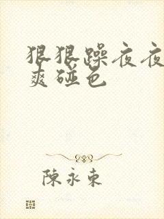 狠狠躁夜夜躁人爽碰色