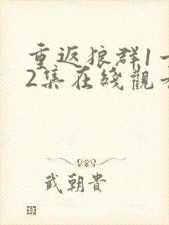 重返狼群1一12集在线观看封面