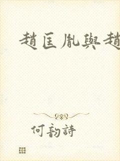 赵匡胤与赵匡义封面