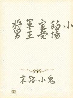 将军家的小娘子男主受伤