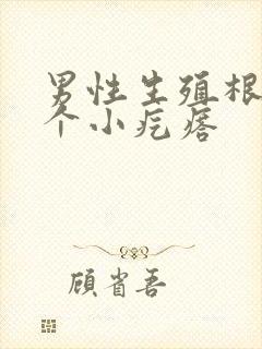 男性生殖根部有个小疙瘩