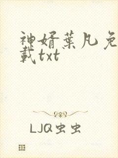 神婿叶凡免费下载txt