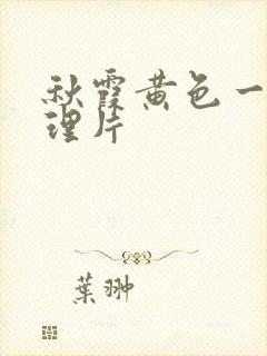 秋霞黄色一级伦理片