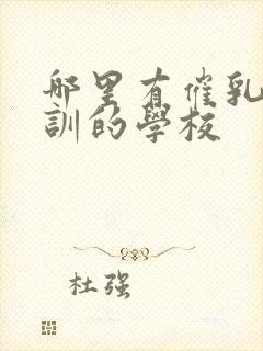 哪里有催乳师培训的学校封面