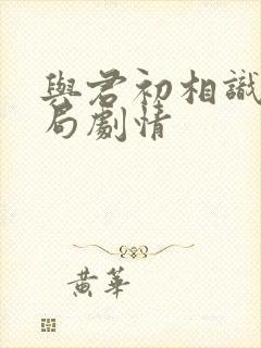 与君初相识大结局剧情封面