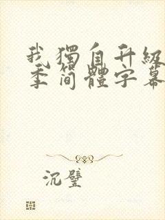 我独自升级第二季简体字幕在线观看