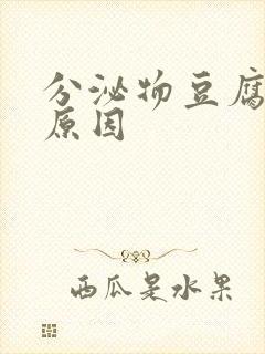 分泌物豆腐渣的原因