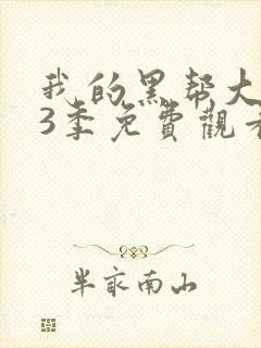 我的黑帮大佬第3季免费观看