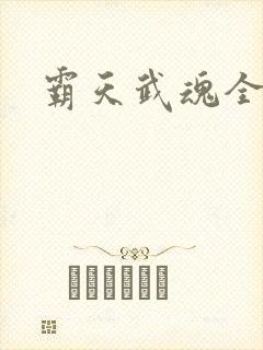 霸天武魂全本