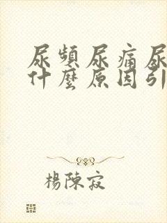 尿频尿痛尿出血什么原因引起的