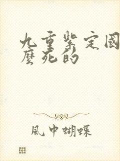 九重紫定国公怎么死的