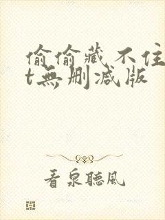 偷偷藏不住txt无删减版封面