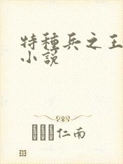 特种兵之王有声小说