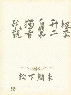 我独自升级在线观看第二季第12集