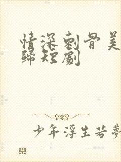 情深刺骨美人迟归短剧