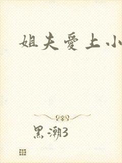 姐夫爱上小舅子