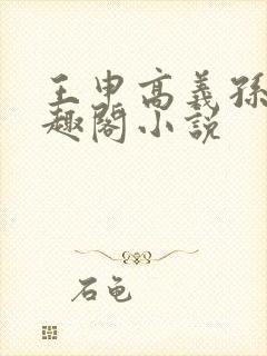 王申高义孙倩笔趣阁小说