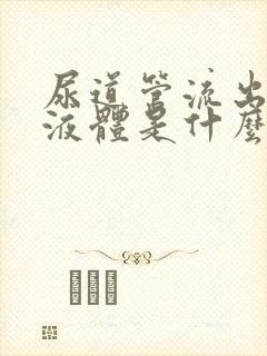 尿道管流出白色液体是什么原因