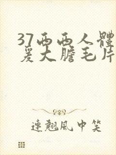 37西西人体做爰大胆毛片