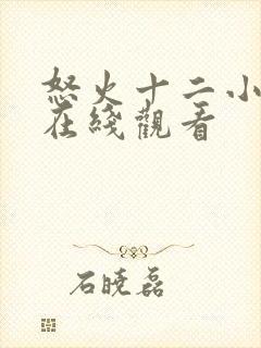 怒火十二小时 在线观看