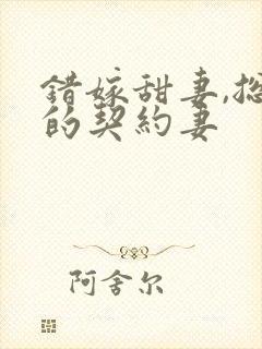 错嫁甜妻,总裁的契约妻