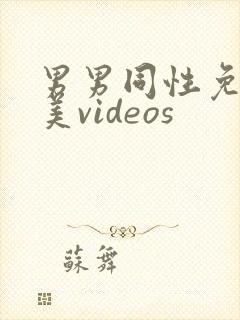 男男同性免费欧美videos封面