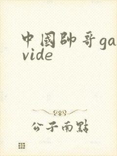 中国帅哥gay vide封面