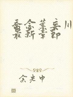 乔念叶妄川小说最新章节