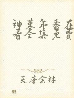 神墓年番在线观看全集免费观看动漫