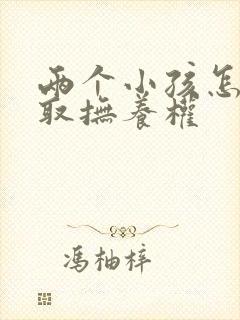 两个小孩怎么争取抚养权