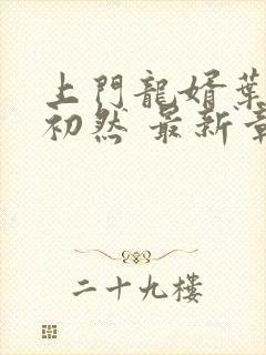 上门龙婿叶辰萧初然 最新章节