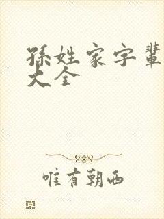 孙姓家字辈取名大全封面