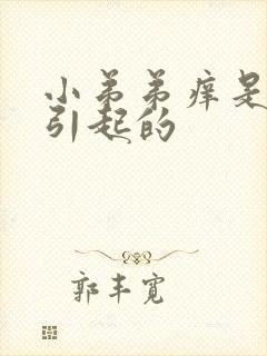 小弟弟痒是什么引起的