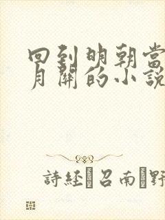 回到明朝当王爷月关的小说