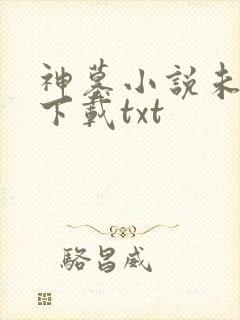 神墓小说未删版下载txt