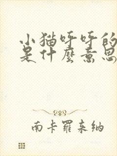 小猫呼呼的声音是什么意思