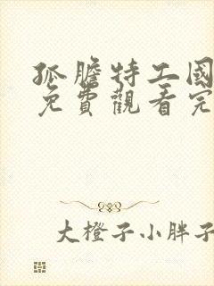 孤胆特工国语版免费观看完整高清