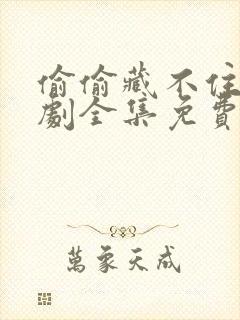 偷偷藏不住漫画剧全集免费看