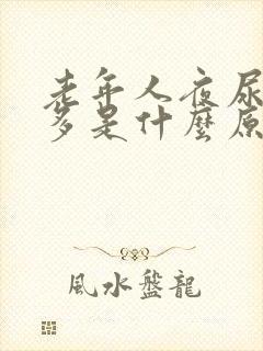 老年人夜尿频尿多是什么原因如何治疗