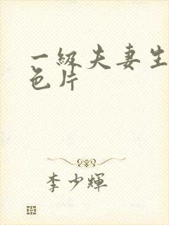 一级夫妻生活黄色片