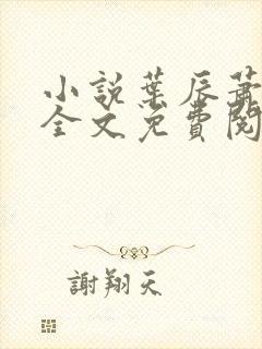 小说叶辰萧初然全文免费阅读