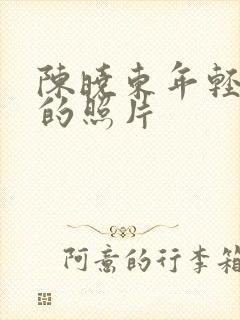 陈晓东年轻时候的照片