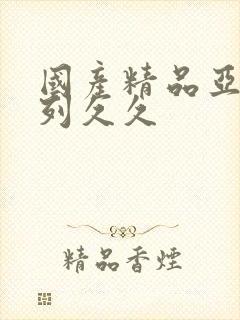 国产精品亚洲系列久久