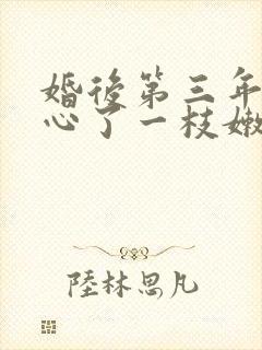 婚后第三年她变心了一枝嫩柳免费阅读