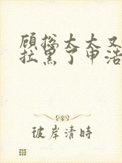 顾总太太又把你拉黑了申浩男短剧