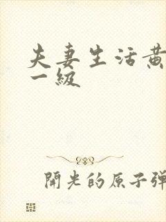 夫妻生活黄色片一级