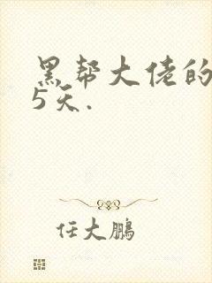 黑帮大佬的365天.