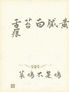 舌苔白腻黄有齿痕