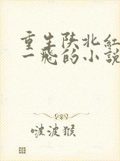 重生陕北红军赵一飞的小说