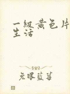 一级黄色片夫妻生活
